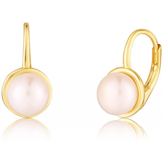 Náušnice SVLE0697XH2GP06