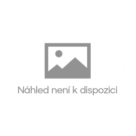 NV03 NÁUŠNICE VISACÍ ZLATÉ S ČESKÝMI GRANÁTY